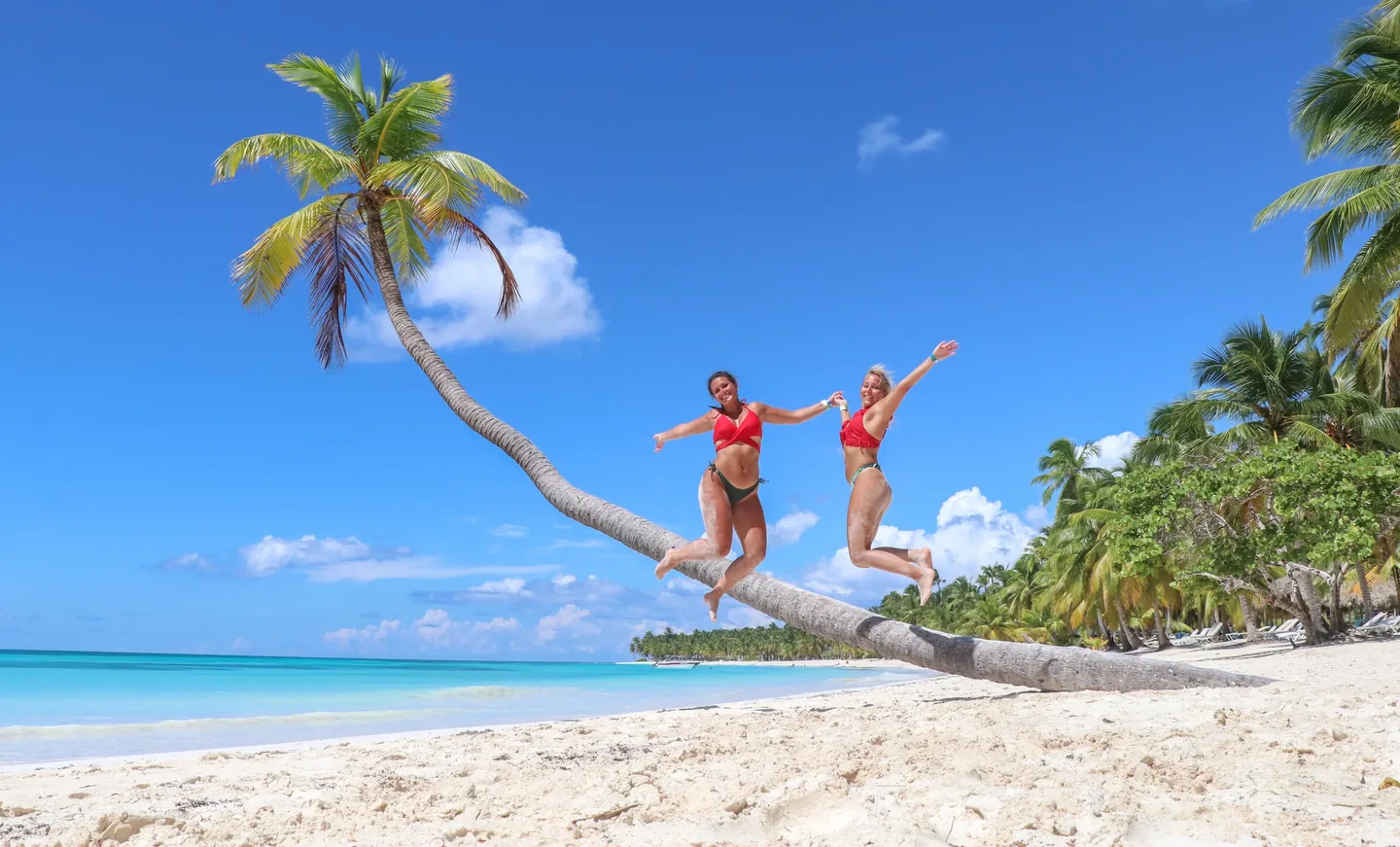Saona Island Day Trip from Punta Cana · 4