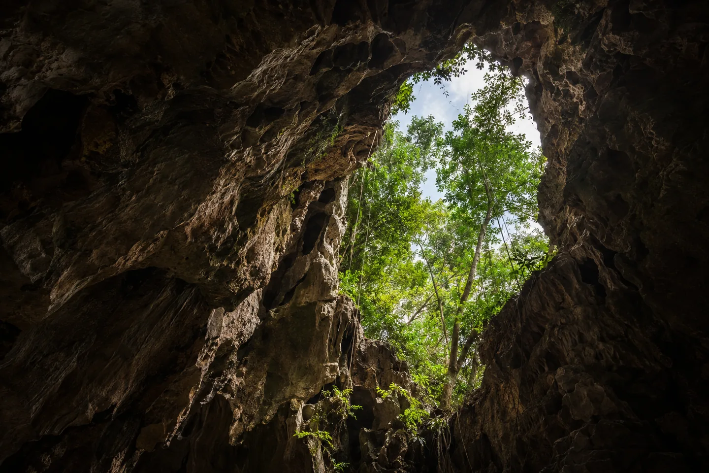 Los Haitises National Park Tour from Punta Cana · 3