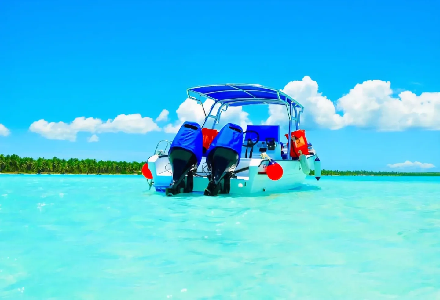 Saona Island VIP Tour: Mano Juan & Snorkeling · 5