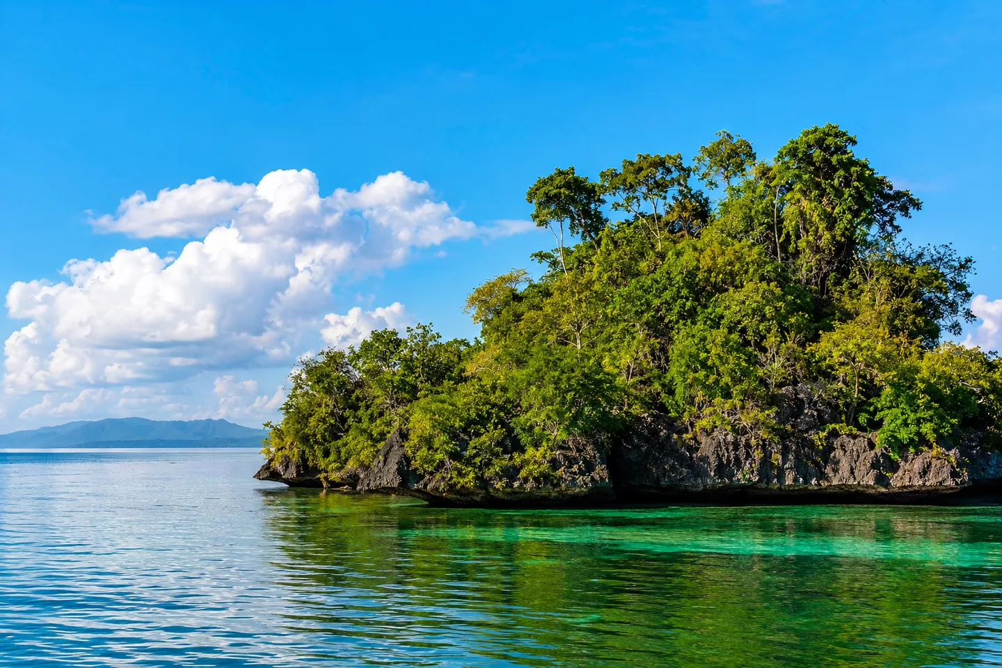 Los Haitises National Park Tour from Punta Cana