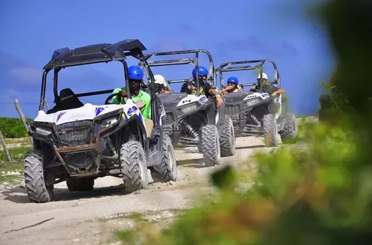 Punta Cana VIP Buggy & Polaris Tour · 3