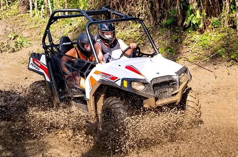 Puerto Plata: Monkeyland, Damajagua & Buggies · 2