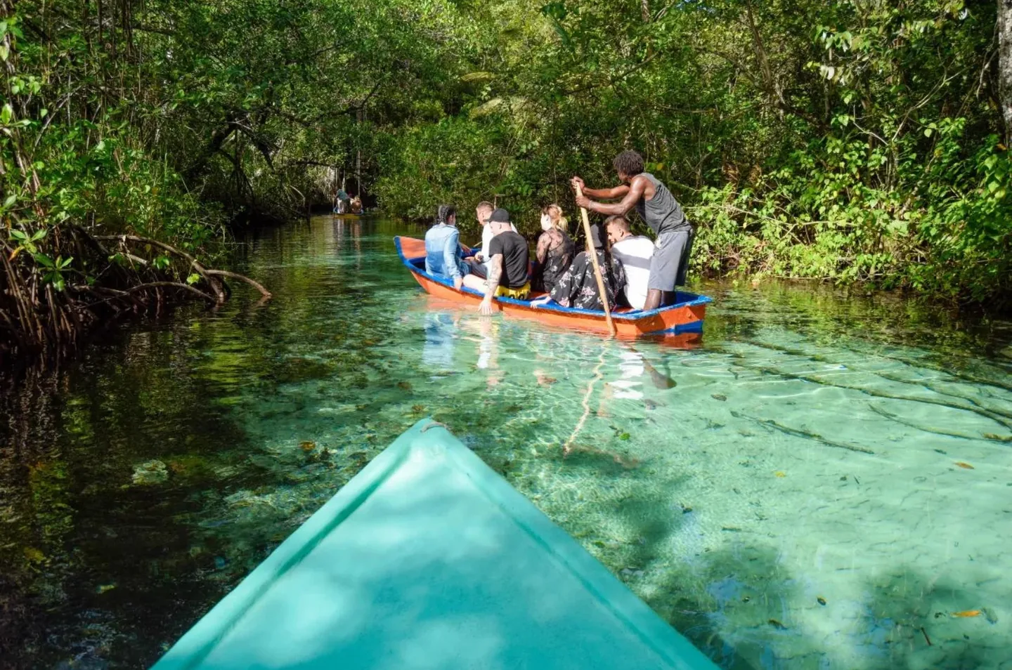 Samaná Tour: El Limón & Cayo Levantado · 2