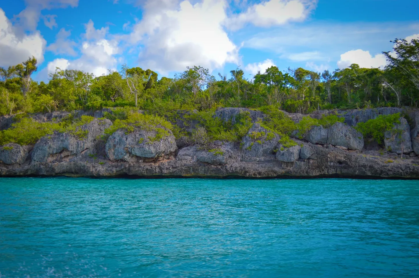 Saona Island Tour from Bayahibe & La Romana · 3