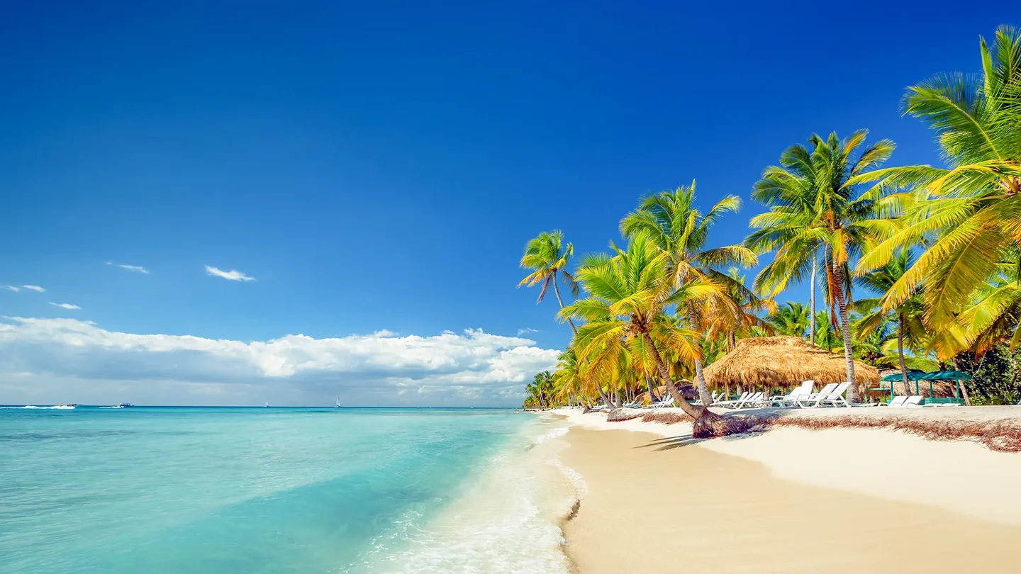 Saona Island Tour from Santo Domingo · 5