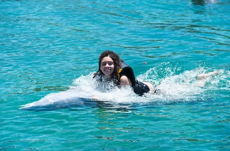 Ocean World Puerto Plata: Day Pass & Experiences · 3