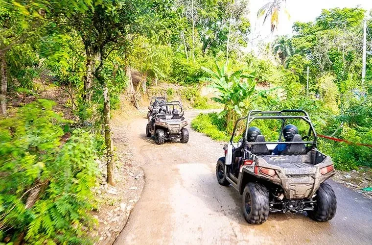 Puerto Plata: Monkeyland, Damajagua & Buggies · 5
