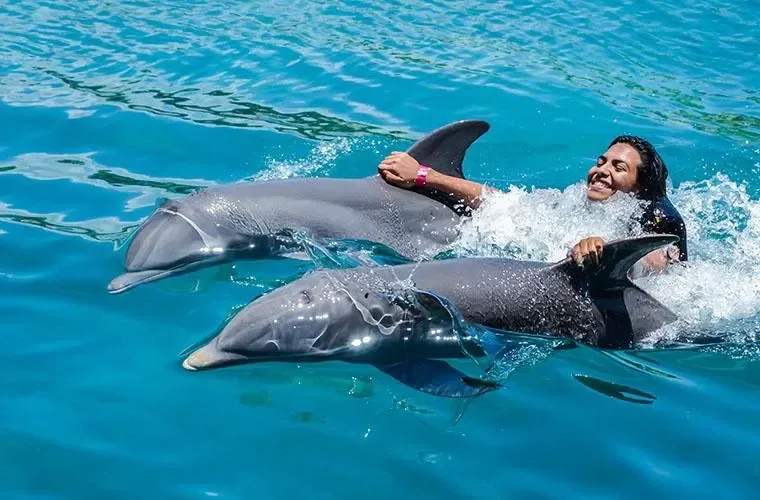 Ocean World Puerto Plata: Day Pass & Experiences · 5