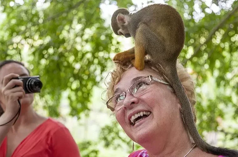 Monkeyland Tour in Punta Cana · 4