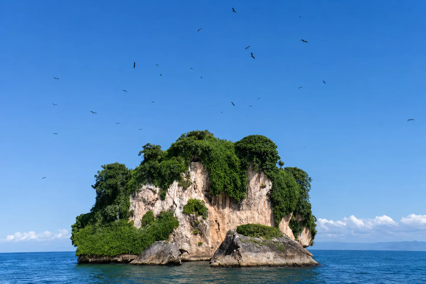 Los Haitises National Park Tour from Punta Cana · 5