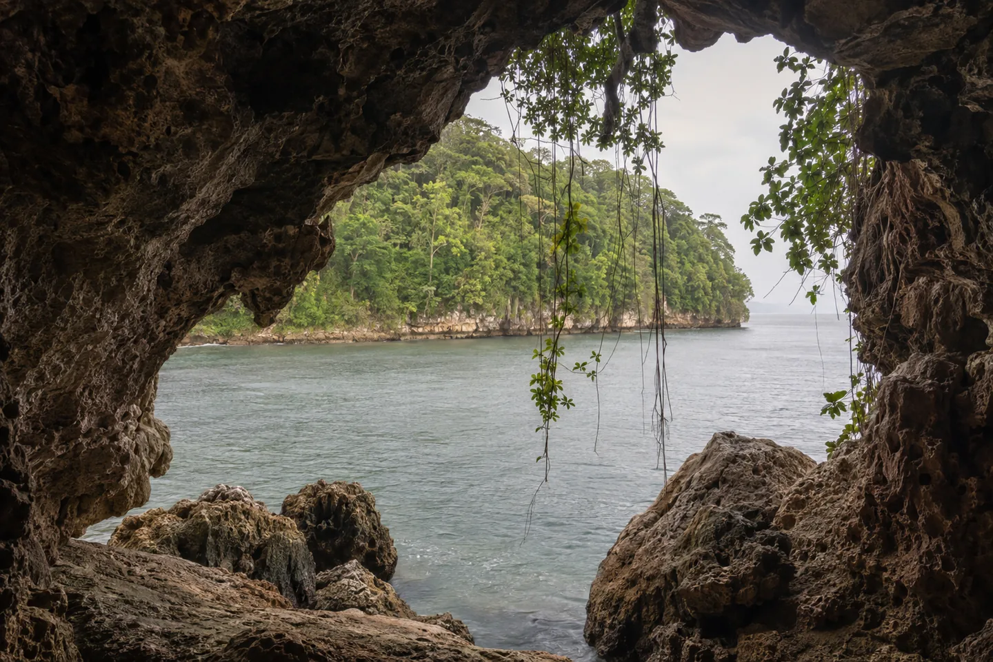 Los Haitises National Park Tour from Punta Cana · 2
