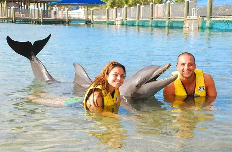 Ocean World Puerto Plata: Day Pass & Experiences · 2