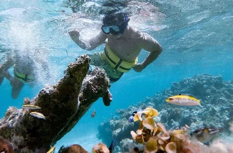 Marinarium Punta Cana Snorkeling Cruise · 5
